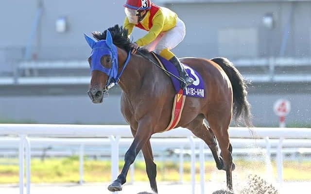 【名古屋・ゴールド争覇結果】ブリーザフレスカが断然人気に応え重賞3勝目！