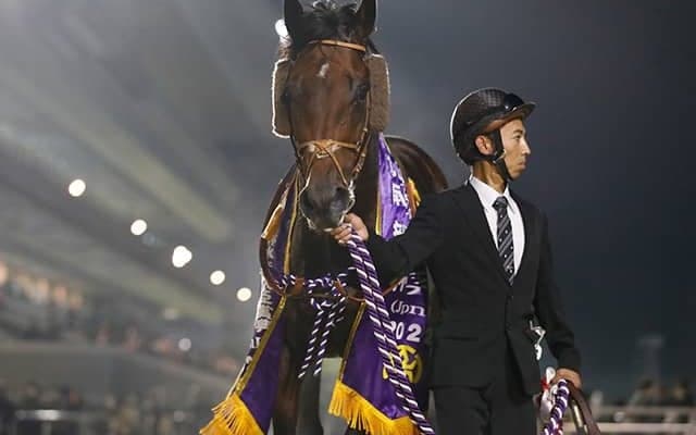 GI馬カフェファラオは南部杯で高松亮騎手とタッグ 岩手リーディング2位の名手と連覇目指す