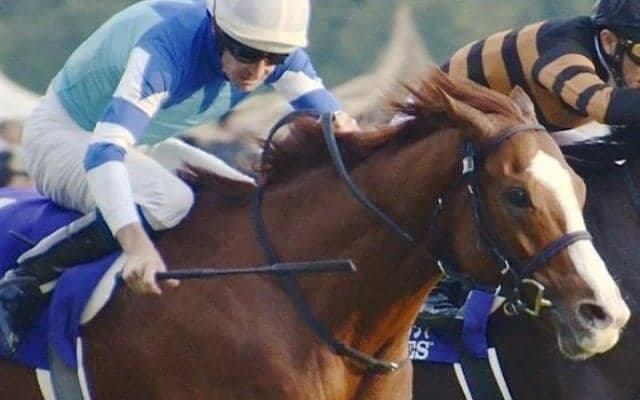 友道厩舎×松山騎手の初勝利なるか 良血2歳馬のデビューでタッグ