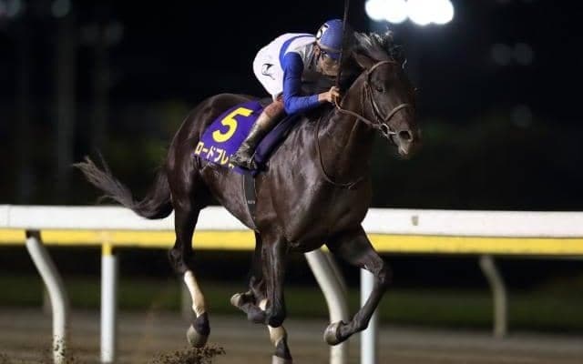 20年日本テレビ盃覇者ロードブレスが抹消 今後は地方競馬に移籍予定