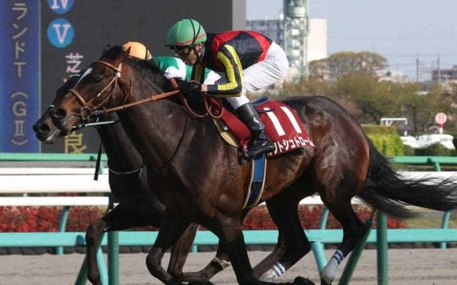 ルフトシュトロームが競走馬登録抹消