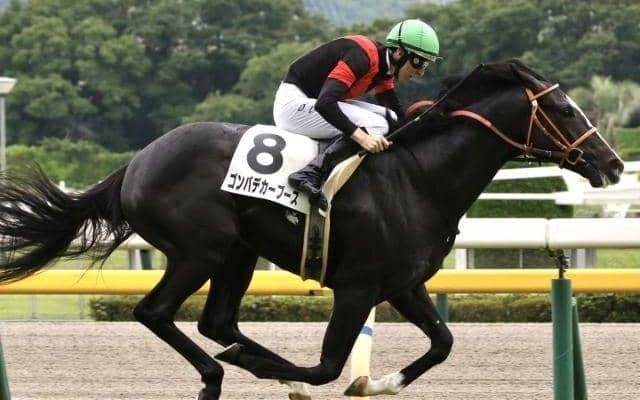ブリックスアンドモルタル産駒が重賞初挑戦 サウジアラビアRCに2頭が登録
