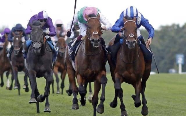 今年の凱旋門賞2着馬が電撃引退 3月のドバイSCではイクイノックスと対戦し2着
