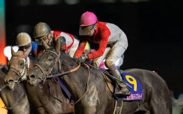 【レディスプレリュード】武豊「菱田ジョッキーから良いアドバイスもらった」アーテルアストレアが交流重賞初制覇