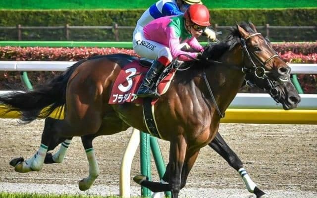 ディープ産駒は京都大賞典で過去5勝 今年は2頭が参戦へ