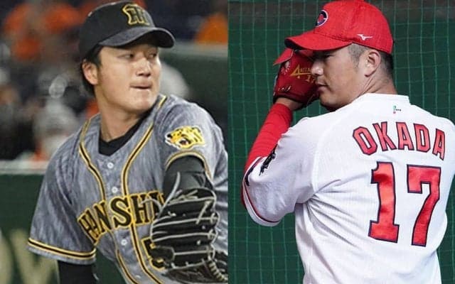 戦力外の虎右腕は他球団なら覚醒も　元ドラ1は復活期待…今オフの“掘り出し物”候補