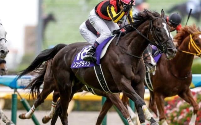 【毎日王冠枠順確定】シュネルマイスターは1枠1番、ソングラインは7枠10番