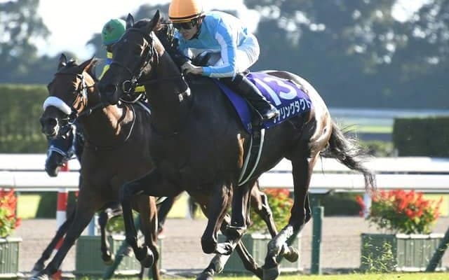 デアリングタクトが電撃引退 無敗で牝馬三冠達成…体部繋靱帯炎再発で復帰叶わず