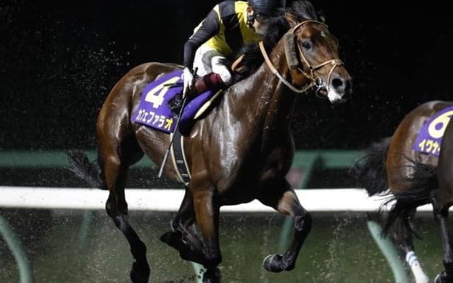 【盛岡・南部杯枠順】連覇を狙うカフェファラオは2枠2番、フェブラリーS覇者レモンポップは3枠3番