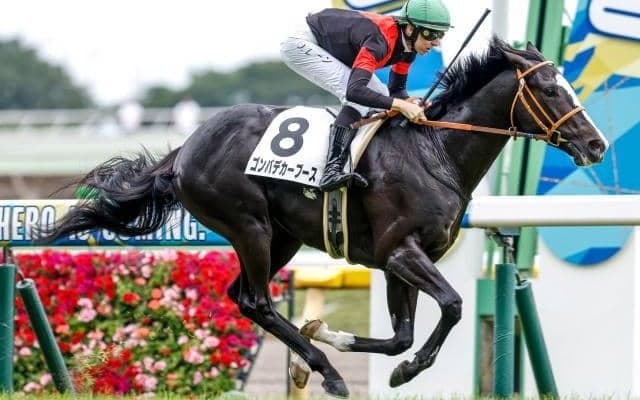 【サウジアラビアRC予想】父から受け継ぐ高い適性が鍵！ 東京マイルで求められるスピードと瞬発力