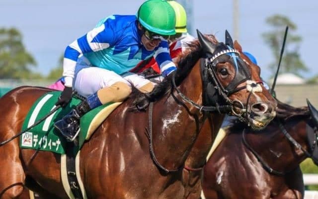 【府中牝馬S想定馬・騎手】ディヴィーナ、プレサージュリフトなど13頭