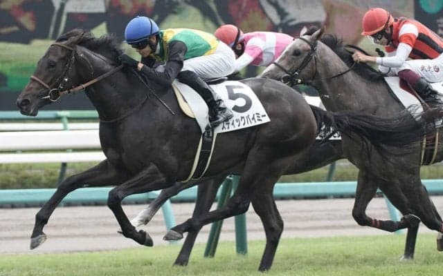 【新馬/中山5R】ルーラーシップ産駒 スティックバイミーがデビューV