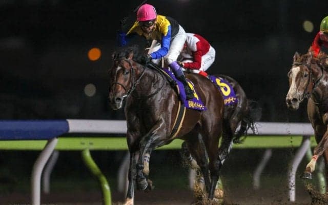 武豊騎手 今週の騎乗馬…南部杯に参戦