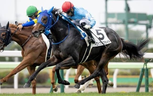 前走は超スローの流れを押し上げて3着 長岡京Sで惜敗続きにピリオドだ