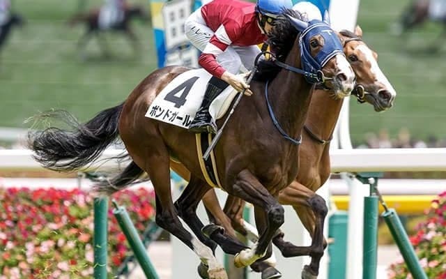 【サウジアラビアRC予想】出世レースとして名高い2歳重賞 今年も素質馬集結