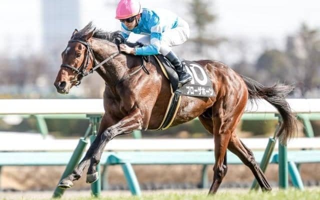 【京都大賞典予想】適性は全く問題なし！ 秋の大舞台に向けてポテンシャルに期待したい注目馬