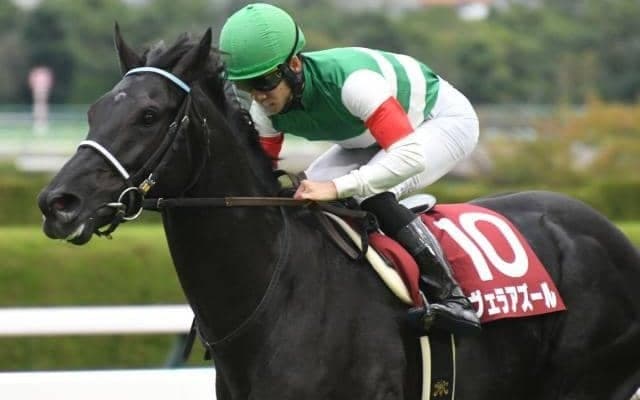 【京都大賞典枠順確定】ディープボンドは3枠4番、ヴェラアズールは2枠2番