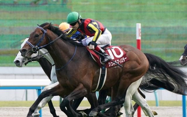 毎日王冠で期待は衰え知らずの５歳馬と、イクイノックスに似た血統構成を持つ１頭