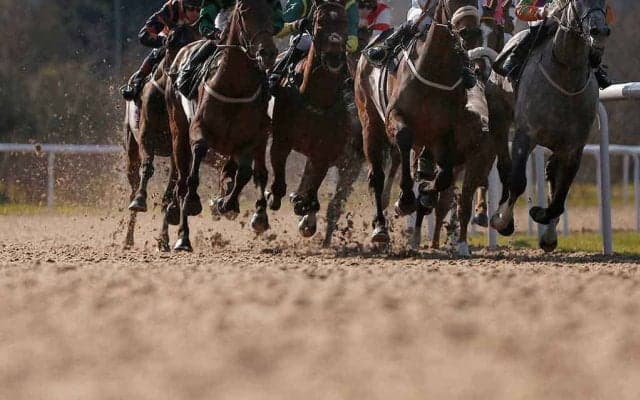 【MCS南部杯／3連単24点勝負】レモンポップ不動の本命も、“中央勢GI馬2頭”をバッサリ