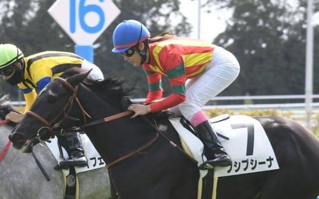 【京都5R新馬戦結果】エピファネイア産駒のプシプシーナがデビューV！