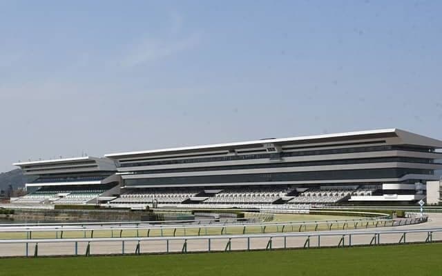 【藤森S結果】サンライズアムールが好位から抜け出し、オープン初V！