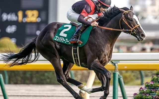 【サウジアラビアRC結果】ゴンバデカーブースが差し切って無傷の2連勝！
