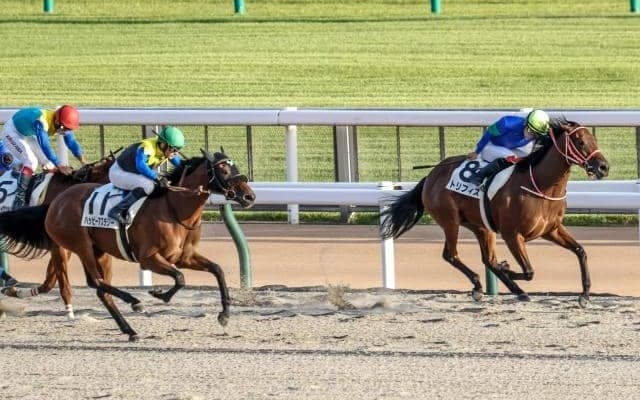 1勝クラスで未勝利馬・初出走馬のワンツー決着 20年ぶりの記録も誕生/東京12R