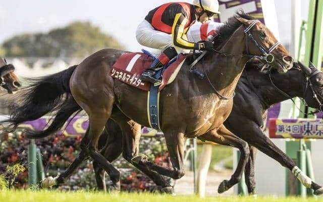 【AI予想・毎日王冠】確かな力量が求められるハイレベルな一戦！ 本命は復調気配十分の実力馬