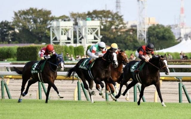 【サウジアラビアRC】松山「レースが上手な馬」ゴンバデカーブースがデビュー2連勝