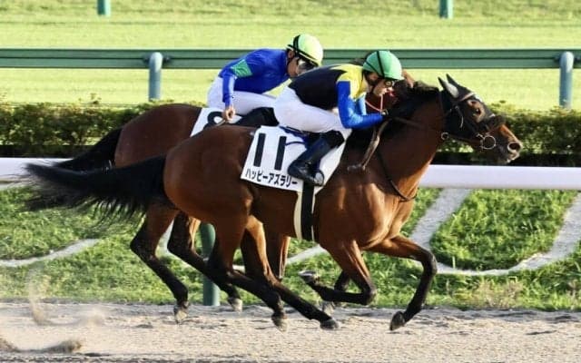 【東京12R】ルメールが5勝の固め打ち！ハッピーアズラリーで抜け出す