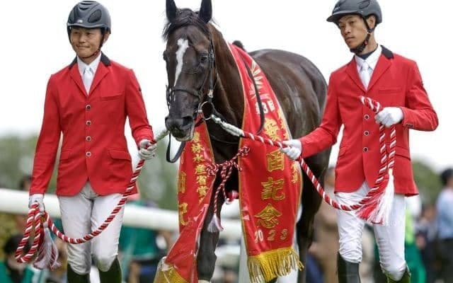 【今日の注目ポイント】毎日王冠でソングラインやシュネルマイスターが始動