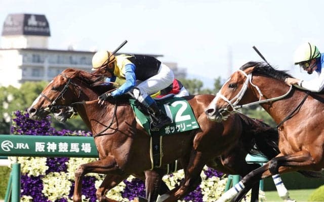 秋のＧＩ前哨戦　京都大賞典は衰え知らずのベテラン２頭の大駆けに要注意