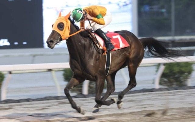 【高知・ミラク特別】ジョウショーリードが3馬身差完勝…岡村「徹底マークで良い位置取れた」