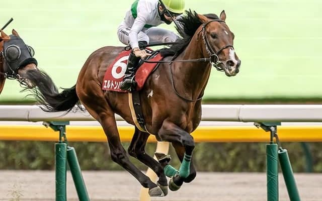 【JRA・WIN5】本日のWIN5は的中1794票、配当23万3070円