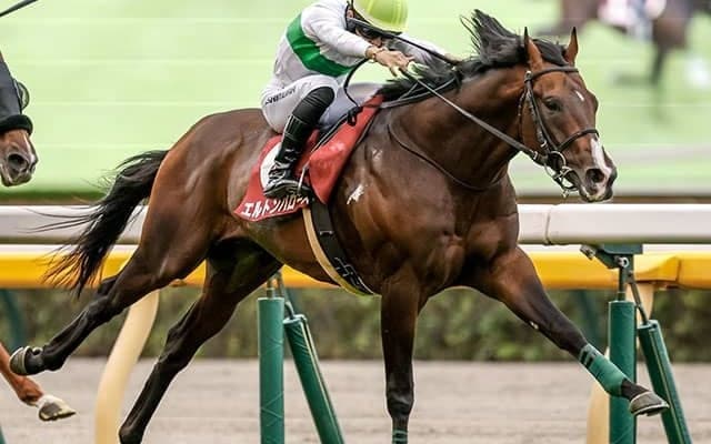 【毎日王冠結果】エルトンバローズがGI馬2頭撃破の大金星！ 4連勝で重賞連覇