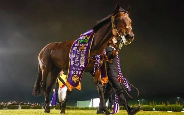 GI/JpnI馬が4頭出走 豪華メンバーで争われる秋のダートマイル王決定戦/盛岡・南部杯