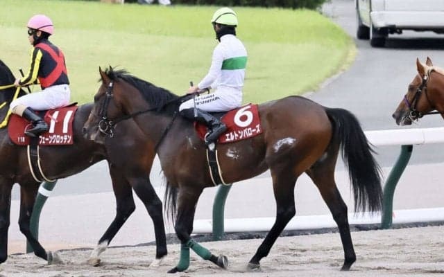 【毎日王冠】西村淳「神様にお祈りしていた」エルトンバローズがハナ差押し切る