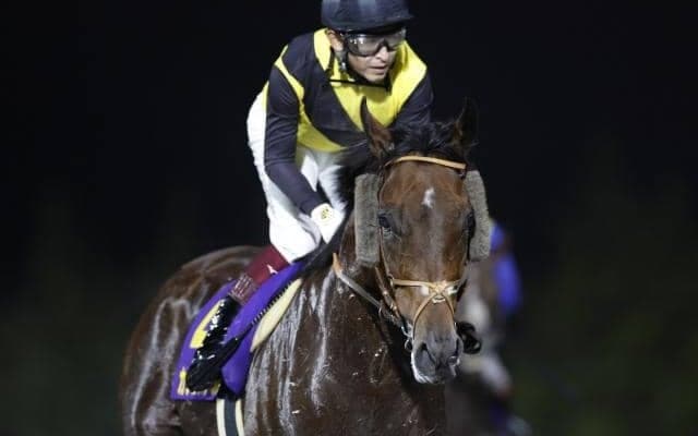 【今日の注目ポイント】ジャパンC前哨戦の京都大賞典、盛岡ではマイルCS南部杯