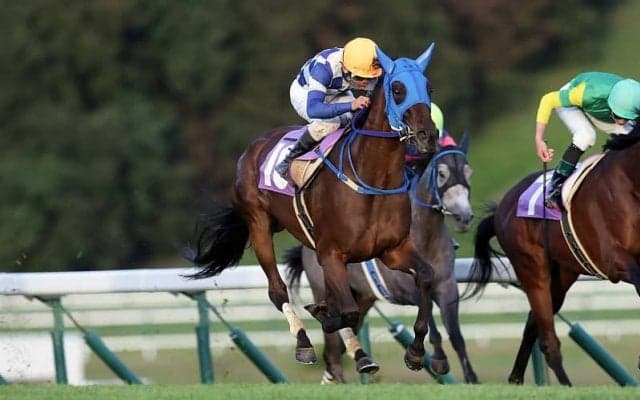 【盛岡・ハーベストC】マヒナライズが差し切り…鈴木「良く差し切ってくれた」