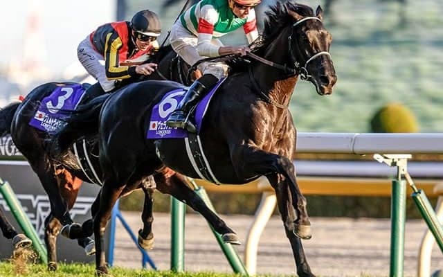 【京都大賞典予想】実績馬集う中距離重賞 淀の急坂が勝負を分けるレース