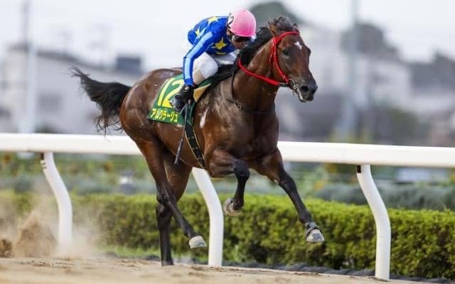【川崎・鎌倉記念枠順】重賞勝ち馬アムクラージュは5枠5番、良血馬ライゾマティクスは8枠10番