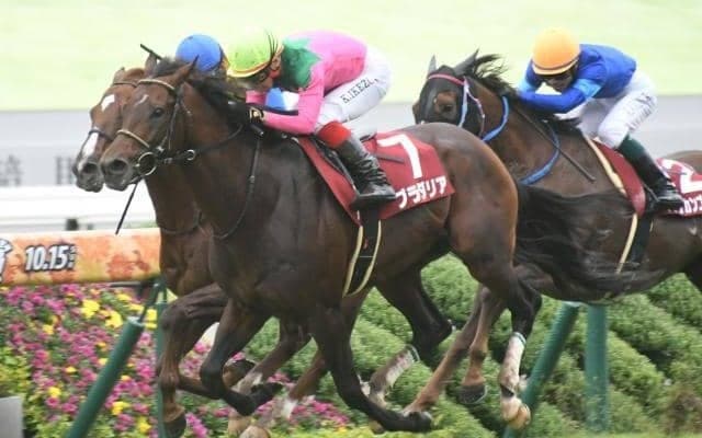 【京都大賞典結果】プラダリアが青葉賞以来となる重賞2勝目を挙げる