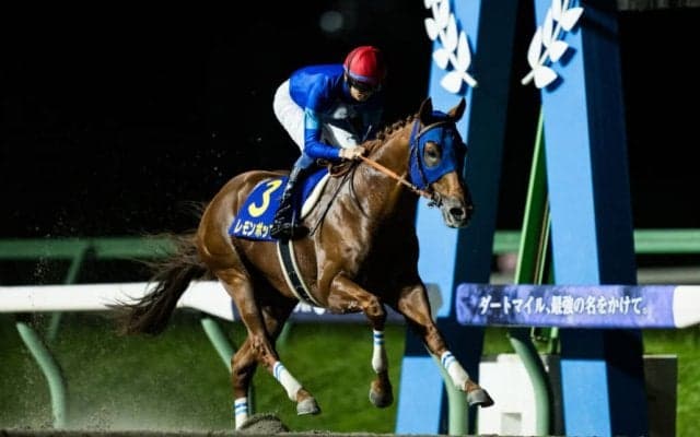 【南部杯】レモンポップが独走！大差圧勝