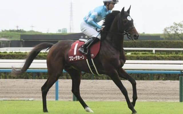 京都大賞典で競走中止のブローザホーンは心房細動 9日の出来事一覧/東京・京都