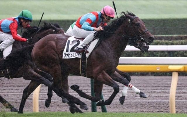 【新馬/東京5R】エピファネイア産駒 ファビュラススターが快勝