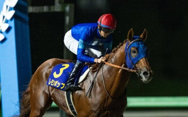 【南部杯】坂井「一緒にレースを楽しんだ」レモンポップが大差圧勝