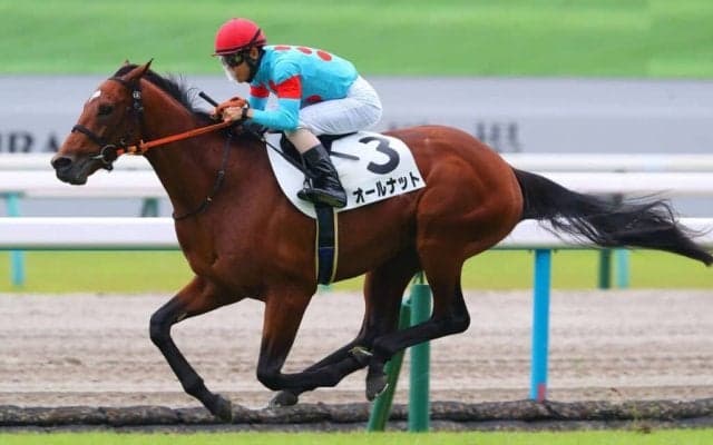 【新馬/京都5R】ショウナンパンドラ半弟、オールナットがデビューV