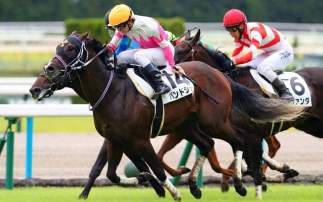 【新馬/京都4R】バンドワゴン産駒 バンドシェルが豪快に差し切る