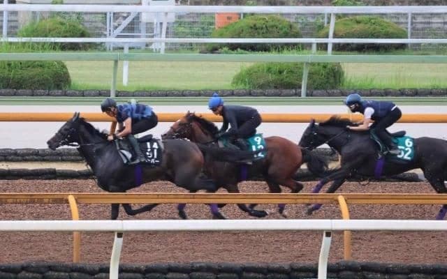 1億3000万円ホース・アドマイヤアストラ 武豊騎手背に初陣/関西馬メイクデビュー情報