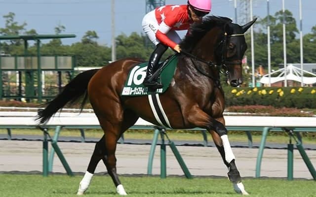 【府中牝馬S想定騎手】ルージュスティリアは川田将雅騎手、ディヴィーナはM.デムーロ騎手